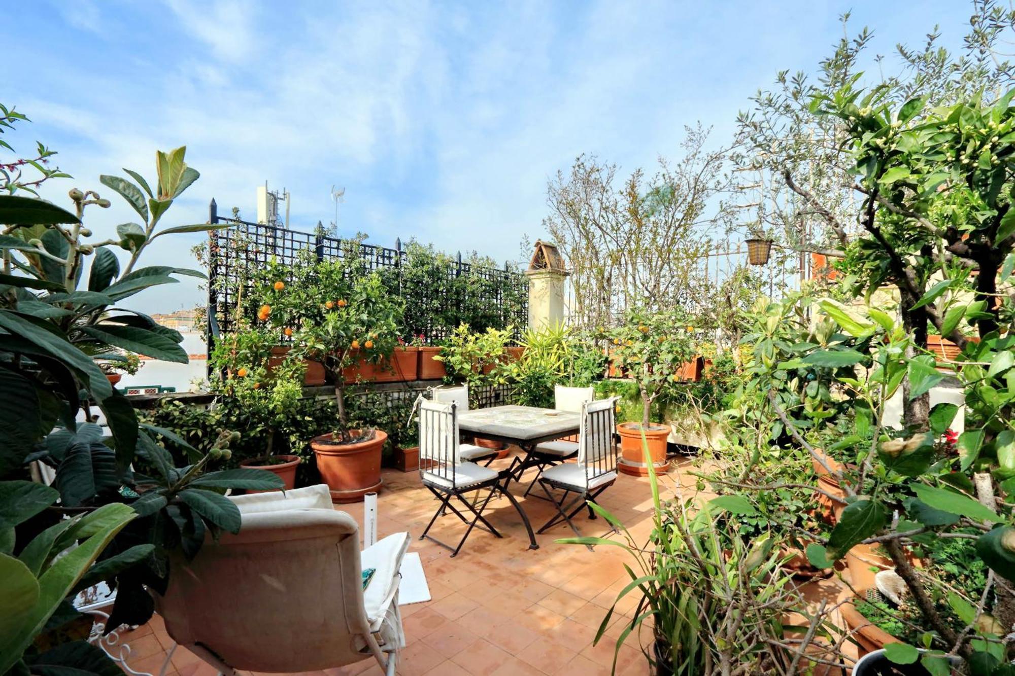 Treasurerome Daphne Terrace * Rom